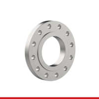 FLGSOT316L300#